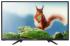 Fusion FLTV-24B100T Черный Led Телевизор инструкция, поддержка, форум, описание, мануал