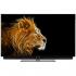 Loewe Bild 3.43 Graphite Grey (57420D81) Телевизор инструкция, поддержка, форум, описание, мануал