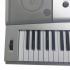 Yamaha YPG 225 Синтезатор инструкция, поддержка, форум, описание, мануал