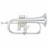 Yamaha Flugelhorn Духовой инструмент инструкция, поддержка, форум, описание, мануал