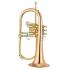 Yamaha Flugelhorn Духовой инструмент инструкция, поддержка, форум, описание, мануал