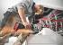 Metabo W 18 LTX 150 (600404650) УШМ (болгарка) инструкция, поддержка, форум, описание, мануал