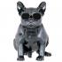 AeroSystem AeroBull XS1 Chrome Black (ML-06020-02-03) Беспроводная акустика инструкция, поддержка, форум, описание, мануал