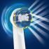 Oral-B Braun EB20 Precision Clean 4шт. Насадка для зубной щетки инструкция, поддержка, форум, описание, мануал