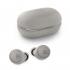 Bang & Olufsen Beoplay E8 3rd Gen Grey Mist Наушники True Wireless инструкция, поддержка, форум, описание, мануал