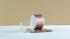 Rombica Mysound BT-03 3C Rose (SBT-00033) Портативная Колонка инструкция, поддержка, форум, описание, мануал