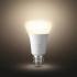 Philips Hue Single Bulb White E27 2700K 9 Вт (929001821618) Умная лампа инструкция, поддержка, форум, описание, мануал
