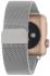 Interstep Mesh для Apple Watch 38mm/40mm, сталь, серебро (HWE-AWB40MES-NP0017O-K100) Ремешок инструкция, поддержка, форум, описание, мануал