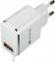 Canyon 1xUSB + кабель Lightning, 2.1A, White/Silver (CNE-CHA043WS) Сетевое зарядное устройство инструкция, поддержка, форум, описание, мануал