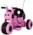 R-Wings RWE300L Pink Электромотоцикл инструкция, поддержка, форум, описание, мануал