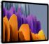 Samsung Galaxy Tab S7 LTE Silver (SM-T875N) Планшет инструкция, поддержка, форум, описание, мануал