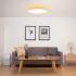 Yeelight LED Ceiling Lamp 450 mm White (XD0042W0CN) Умный потолочный светильник инструкция, поддержка, форум, описание, мануал
