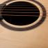 Rockdale AURORA D5 NGL Акустические гитары инструкция, поддержка, форум, описание, мануал