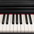 Rockdale KEYS RDP-5088 BLACK Цифровые фортепиано инструкция, поддержка, форум, описание, мануал