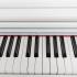 Rockdale KEYS RDP-5088 WHITE Цифровые фортепиано инструкция, поддержка, форум, описание, мануал