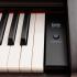 Rockdale KEYS RDP-5088 ROSEWOOD Цифровые фортепиано инструкция, поддержка, форум, описание, мануал