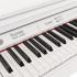 Rockdale KEYS RDP-7088 WHITE Цифровые фортепиано инструкция, поддержка, форум, описание, мануал