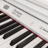 Rockdale KEYS RDP-7088 WHITE Цифровые фортепиано инструкция, поддержка, форум, описание, мануал