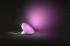 Philips Hue Bloom gen 4 EU/UK white 929002375901 Лампы настольные инструкция, поддержка, форум, описание, мануал