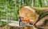 Stihl MS 880 30'' (11242000026) Бензопилы инструкция, поддержка, форум, описание, мануал