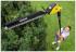 Karcher HGE 18-45 Battery (1.444-230.0) Кусторезы, высоторезы и ножницы инструкция, поддержка, форум, описание, мануал