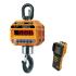 CAS Caston III Plus 1 THD RF с пультом управления TWN-B Крановые весы инструкция, поддержка, форум, описание, мануал