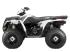 Polaris Industries Inc SPORTSMAN 500 H O   2013 Квадроциклы инструкция, поддержка, форум, описание, мануал