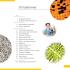 Levenhuk Micro Solar 77954 Микроскопы инструкция, поддержка, форум, описание, мануал