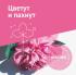 Инвитро "Цветут и пахнут" Медицина инструкция, поддержка, форум, описание, мануал