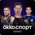 Okko Оптимум и ЛитРес Абонемент 12 месяцев Онлайн кинотеатры (Smart TV) инструкция, поддержка, форум, описание, мануал