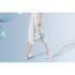 Xiaomi Water Ionic Hair Dryer H500 EU Фены инструкция, поддержка, форум, описание, мануал