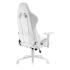 ZONE 51 FROST RGB White (Z51-FRS-RGB) (белый) Игровые кресла инструкция, поддержка, форум, описание, мануал