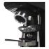 Fiorenzato F64E Black Электрические Кофемолки инструкция, поддержка, форум, описание, мануал