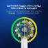 Oral-B Vitality Pro X Clean D103.413.3 Электрические Зубные Щетки инструкция, поддержка, форум, описание, мануал
