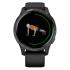 Garmin Venu Black Slate Смарт-Часы инструкция, поддержка, форум, описание, мануал
