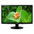 Acer 18.5"/TN/1366x768/60Гц/черный (S191HQLFb) Мониторы инструкция, поддержка, форум, описание, мануал