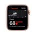 Apple Watch SE 2020 44mm Gold Aluminum Case with Starlight Sport Band, размер Regular (MKQ53) Apple Watch инструкция, поддержка, форум, описание, мануал