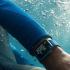 Apple Watch Series 7 41mm Green Aluminum Case with Clover Sport Band Apple Watch инструкция, поддержка, форум, описание, мануал