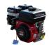 VERTON GARDEN BS-200/20 Двигатели для садовой техники инструкция, поддержка, форум, описание, мануал
