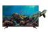 KRAFT KTV-P65UHD03T2CIWLF Телевизор инструкция, поддержка, форум, описание, мануал
