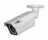 STC-IPM12650A/1