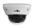 STC-IPM5591/1