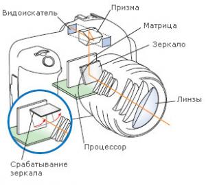 Снимочек на память: технологии или качество? Фото 1