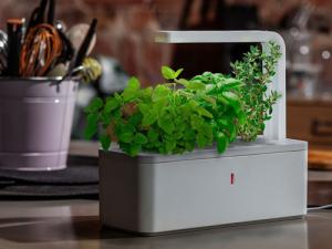 Горшки Click and Grow сами выращивают комнатные растения