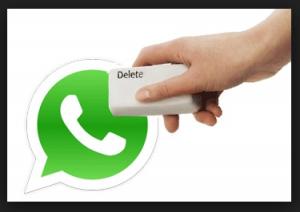 Что выбрать на замену WhatsApp  Фото 0