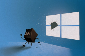 Обновление ОС Windows привело к поражению баскетболистов из Германии