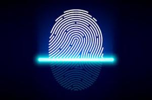 Сканер отпечатков пальцев появился у нового смартфона Huawei