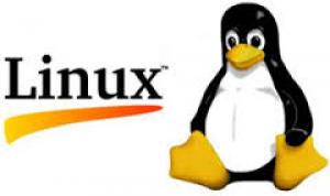 В развитие операционной системы Linux компания IBM готова вложить миллиард