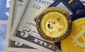 Собака охотничьей породы сиба-ину стала символом криптовалюты Dogecoin