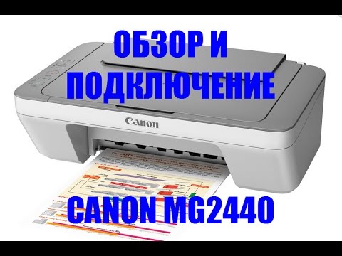 Canon 2440    -  3